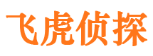 隆德侦探公司